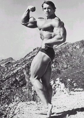 Arnold Schwarzenegger_5