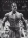 Arnold Schwarzenegger_3