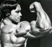 Arnold Schwarzenegger_15